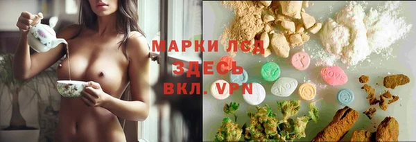 стаф Арсеньев