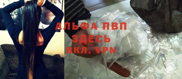 стаф Арсеньев