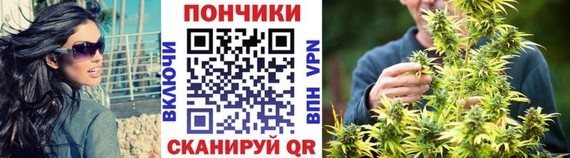продажа наркотиков  Сретенск  omg маркетплейс  Бошки Шишки OG Kush 